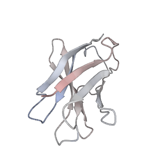 33742_7ycy_F_v1-0
SARS-CoV-2 Omicron 1-RBD up Spike trimer complexed with three XG005 molecules