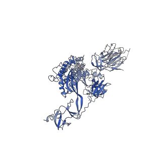 33743_7ycz_C_v1-0
SARS-CoV-2 Omicron 2-RBD up Spike trimer complexed with three XG005 molecules