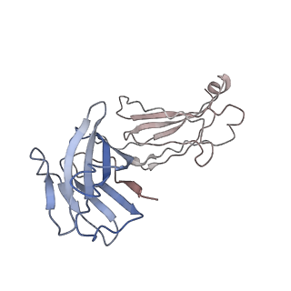 33743_7ycz_D_v1-0
SARS-CoV-2 Omicron 2-RBD up Spike trimer complexed with three XG005 molecules