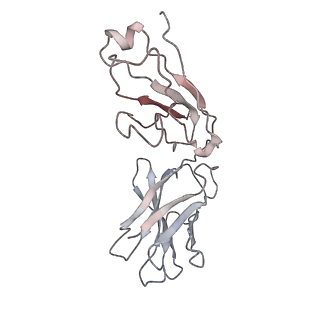 33743_7ycz_F_v1-0
SARS-CoV-2 Omicron 2-RBD up Spike trimer complexed with three XG005 molecules