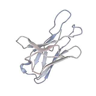 33743_7ycz_I_v1-0
SARS-CoV-2 Omicron 2-RBD up Spike trimer complexed with three XG005 molecules