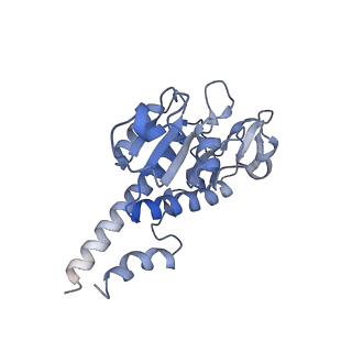 10778_6ydp_AB_v1-1
55S mammalian mitochondrial ribosome with mtEFG1 and P site fMet-tRNAMet (POST)
