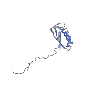 10778_6ydp_AF_v1-1
55S mammalian mitochondrial ribosome with mtEFG1 and P site fMet-tRNAMet (POST)
