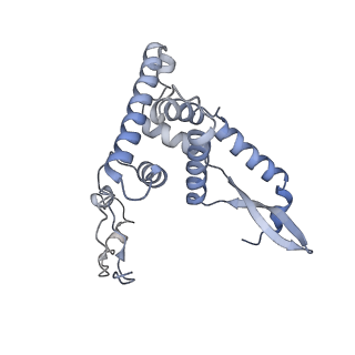 10778_6ydp_AG_v1-1
55S mammalian mitochondrial ribosome with mtEFG1 and P site fMet-tRNAMet (POST)