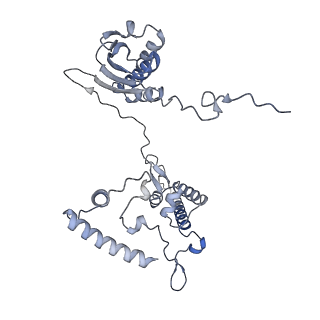 10778_6ydp_AI_v1-1
55S mammalian mitochondrial ribosome with mtEFG1 and P site fMet-tRNAMet (POST)