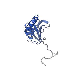 10778_6ydp_AK_v1-1
55S mammalian mitochondrial ribosome with mtEFG1 and P site fMet-tRNAMet (POST)