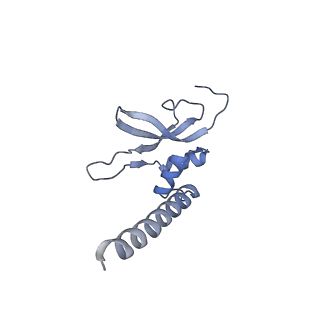10778_6ydp_AP_v1-1
55S mammalian mitochondrial ribosome with mtEFG1 and P site fMet-tRNAMet (POST)