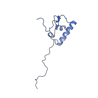 10778_6ydp_AR_v1-1
55S mammalian mitochondrial ribosome with mtEFG1 and P site fMet-tRNAMet (POST)