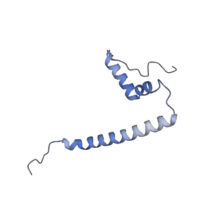 10778_6ydp_AU_v1-1
55S mammalian mitochondrial ribosome with mtEFG1 and P site fMet-tRNAMet (POST)