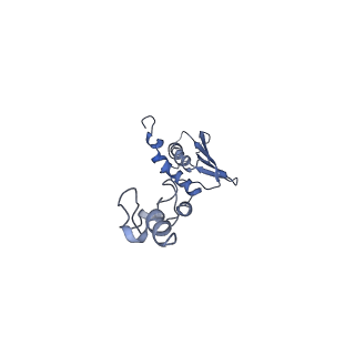 10778_6ydp_Ac_v1-1
55S mammalian mitochondrial ribosome with mtEFG1 and P site fMet-tRNAMet (POST)