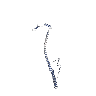 10778_6ydp_Ad_v1-1
55S mammalian mitochondrial ribosome with mtEFG1 and P site fMet-tRNAMet (POST)