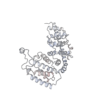 10778_6ydp_Ae_v1-1
55S mammalian mitochondrial ribosome with mtEFG1 and P site fMet-tRNAMet (POST)