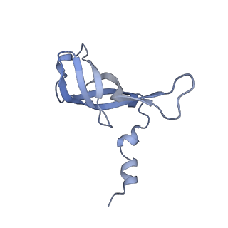 10778_6ydp_Af_v1-1
55S mammalian mitochondrial ribosome with mtEFG1 and P site fMet-tRNAMet (POST)