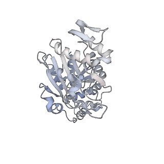 10778_6ydp_Ag_v1-1
55S mammalian mitochondrial ribosome with mtEFG1 and P site fMet-tRNAMet (POST)