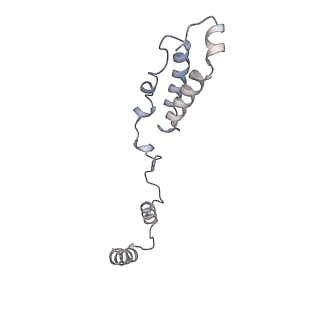 10778_6ydp_Ah_v1-1
55S mammalian mitochondrial ribosome with mtEFG1 and P site fMet-tRNAMet (POST)