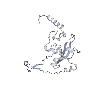 10778_6ydp_Aj_v1-1
55S mammalian mitochondrial ribosome with mtEFG1 and P site fMet-tRNAMet (POST)