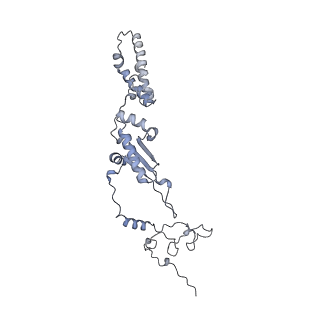 10778_6ydp_Ak_v1-1
55S mammalian mitochondrial ribosome with mtEFG1 and P site fMet-tRNAMet (POST)