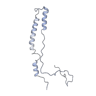 10778_6ydp_Am_v1-1
55S mammalian mitochondrial ribosome with mtEFG1 and P site fMet-tRNAMet (POST)