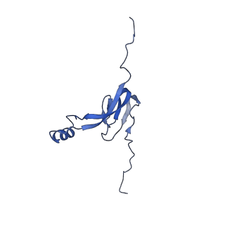 10778_6ydp_B0_v1-1
55S mammalian mitochondrial ribosome with mtEFG1 and P site fMet-tRNAMet (POST)