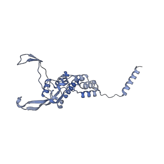 10778_6ydp_B1_v1-1
55S mammalian mitochondrial ribosome with mtEFG1 and P site fMet-tRNAMet (POST)