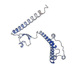 10778_6ydp_B2_v1-1
55S mammalian mitochondrial ribosome with mtEFG1 and P site fMet-tRNAMet (POST)