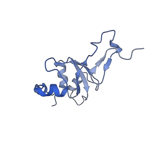 10778_6ydp_B3_v1-1
55S mammalian mitochondrial ribosome with mtEFG1 and P site fMet-tRNAMet (POST)