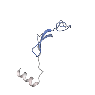 10778_6ydp_B4_v1-1
55S mammalian mitochondrial ribosome with mtEFG1 and P site fMet-tRNAMet (POST)