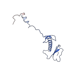 10778_6ydp_B5_v1-1
55S mammalian mitochondrial ribosome with mtEFG1 and P site fMet-tRNAMet (POST)