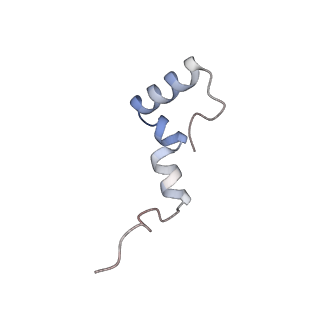 10778_6ydp_B7_v1-1
55S mammalian mitochondrial ribosome with mtEFG1 and P site fMet-tRNAMet (POST)
