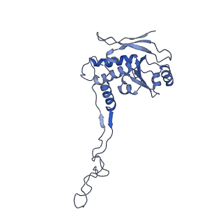 10778_6ydp_BF_v1-1
55S mammalian mitochondrial ribosome with mtEFG1 and P site fMet-tRNAMet (POST)