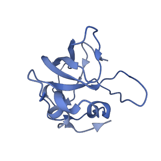 10778_6ydp_BO_v1-1
55S mammalian mitochondrial ribosome with mtEFG1 and P site fMet-tRNAMet (POST)