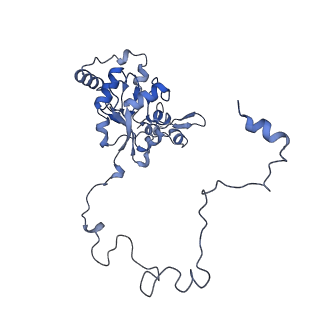 10778_6ydp_BP_v1-1
55S mammalian mitochondrial ribosome with mtEFG1 and P site fMet-tRNAMet (POST)