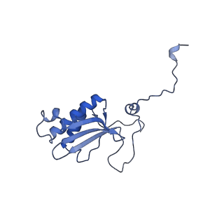 10778_6ydp_BS_v1-1
55S mammalian mitochondrial ribosome with mtEFG1 and P site fMet-tRNAMet (POST)
