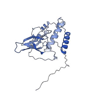 10778_6ydp_BT_v1-1
55S mammalian mitochondrial ribosome with mtEFG1 and P site fMet-tRNAMet (POST)