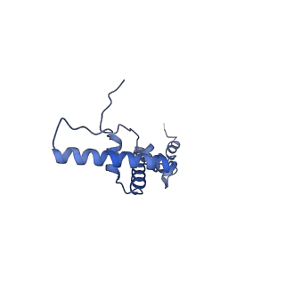 10778_6ydp_BU_v1-1
55S mammalian mitochondrial ribosome with mtEFG1 and P site fMet-tRNAMet (POST)