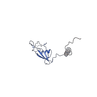 10778_6ydp_BX_v1-1
55S mammalian mitochondrial ribosome with mtEFG1 and P site fMet-tRNAMet (POST)