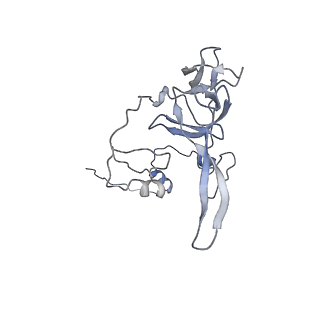 10778_6ydp_BY_v1-1
55S mammalian mitochondrial ribosome with mtEFG1 and P site fMet-tRNAMet (POST)