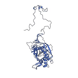 10778_6ydp_Ba_v1-1
55S mammalian mitochondrial ribosome with mtEFG1 and P site fMet-tRNAMet (POST)