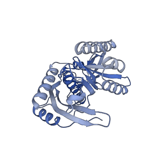 10778_6ydp_Bc_v1-1
55S mammalian mitochondrial ribosome with mtEFG1 and P site fMet-tRNAMet (POST)