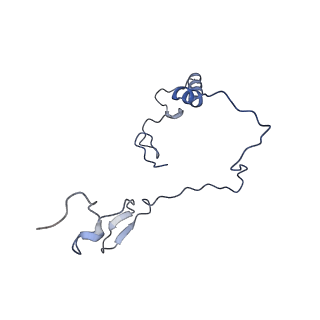 10778_6ydp_Be_v1-1
55S mammalian mitochondrial ribosome with mtEFG1 and P site fMet-tRNAMet (POST)