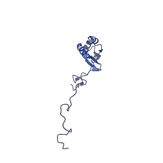 10778_6ydp_Bg_v1-1
55S mammalian mitochondrial ribosome with mtEFG1 and P site fMet-tRNAMet (POST)