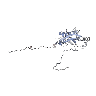 10778_6ydp_Bi_v1-1
55S mammalian mitochondrial ribosome with mtEFG1 and P site fMet-tRNAMet (POST)