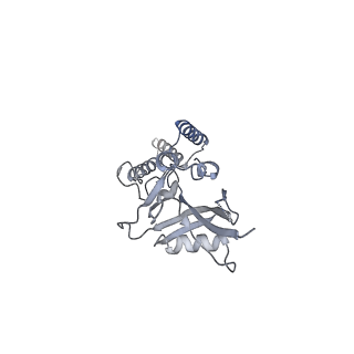 10778_6ydp_Bj_v1-1
55S mammalian mitochondrial ribosome with mtEFG1 and P site fMet-tRNAMet (POST)