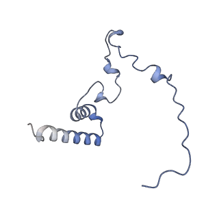 10778_6ydp_Bn_v1-1
55S mammalian mitochondrial ribosome with mtEFG1 and P site fMet-tRNAMet (POST)