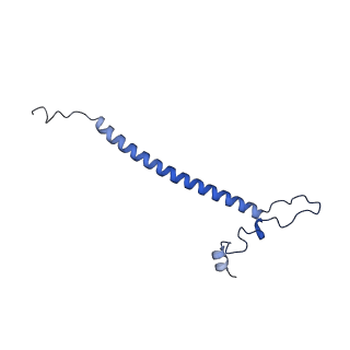 10778_6ydp_Bo_v1-1
55S mammalian mitochondrial ribosome with mtEFG1 and P site fMet-tRNAMet (POST)