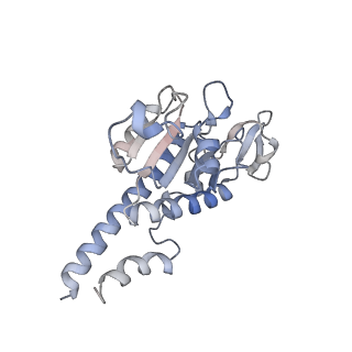 10779_6ydw_AB_v1-1
55S mammalian mitochondrial ribosome with mtEFG1 and two tRNAMet (TI-POST)
