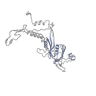 10779_6ydw_AE_v1-1
55S mammalian mitochondrial ribosome with mtEFG1 and two tRNAMet (TI-POST)