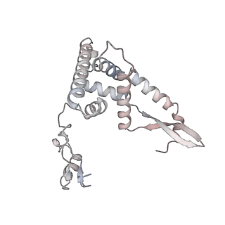 10779_6ydw_AG_v1-1
55S mammalian mitochondrial ribosome with mtEFG1 and two tRNAMet (TI-POST)