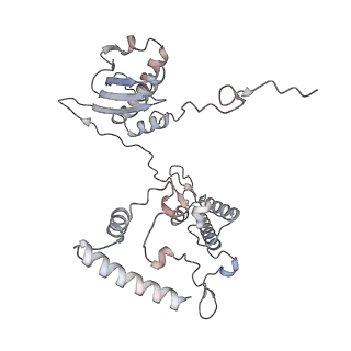 10779_6ydw_AI_v1-1
55S mammalian mitochondrial ribosome with mtEFG1 and two tRNAMet (TI-POST)
