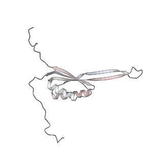 10779_6ydw_AJ_v1-1
55S mammalian mitochondrial ribosome with mtEFG1 and two tRNAMet (TI-POST)